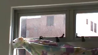 Чехийн цагдаагийн хэлтэст Gangbang.