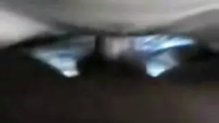 Том тахиа нь энгийн хүн зөндөө бодит гоо сайхныг хугалсан.