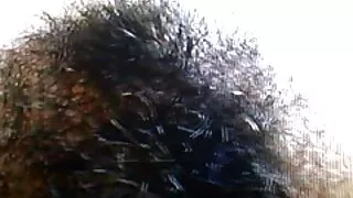 Queenlin: pussy-ээс шулуун гэдсээр болон ар тал руу.