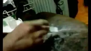 Rose Monroe чичирч түүний том илжиг.