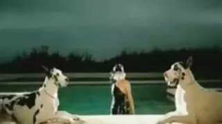 Блоггер нь түүний хошигнолд сэтгэл хангалуун байдаг.