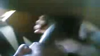 Оливия скопа