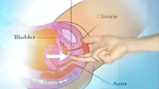 Шарлотт нүгэл нь pussy нь handon нь тахиа хуулга.